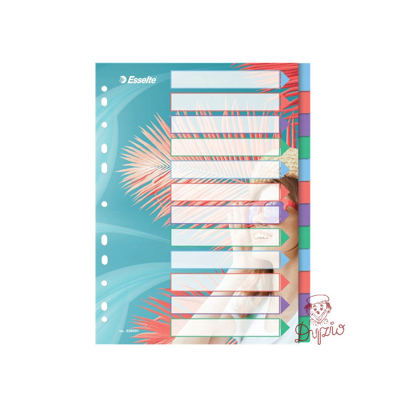 Przekładki Colour`Breeze PP A4 12 przekładek 628501 ESSELTE