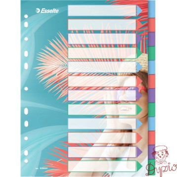 Przekładki Colour`Breeze PP A4 12 przekładek 628501 ESSELTE