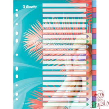 Przekładki Colour`Breeze PP A4 20 przekładek 628502 ESSELTE