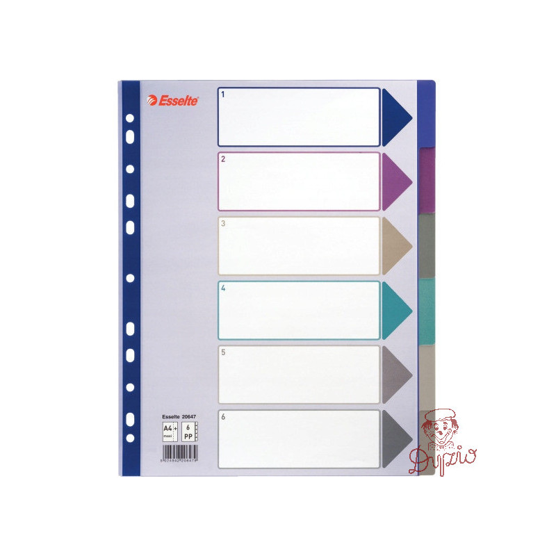 Przekładka PP A4 MULTICOLOR 6 kart 20647 MAXI ESSELTE
