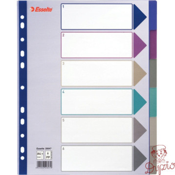 Przekładka PP A4 MULTICOLOR 6 kart 20647 MAXI ESSELTE