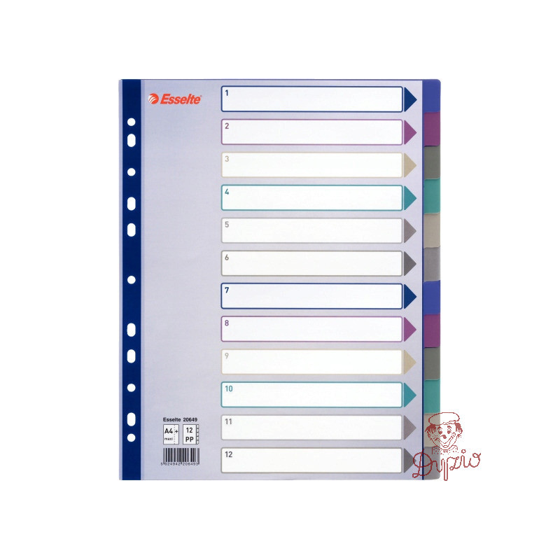 Przekładka PP A4 MULTICOLOR 12kart 20649 MAXI ESSELTE