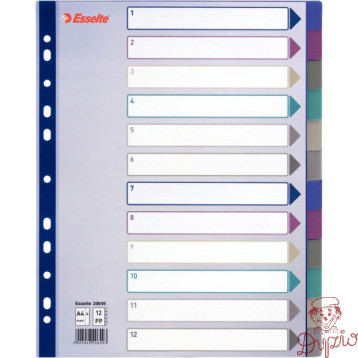 Przekładka PP A4 MULTICOLOR 12kart 20649 MAXI ESSELTE