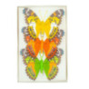 Motylki dekoracyjne z klipsem 12cm (3 szt.) MOD-6098 ALIGA