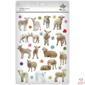 Naklejka Craft-Fun Series Sheep 490754 TITANUM
