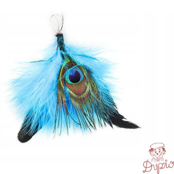 Piórka pawie oczko 14-16cm (3szt.) GR-FE018 FIORELLO 170-2622