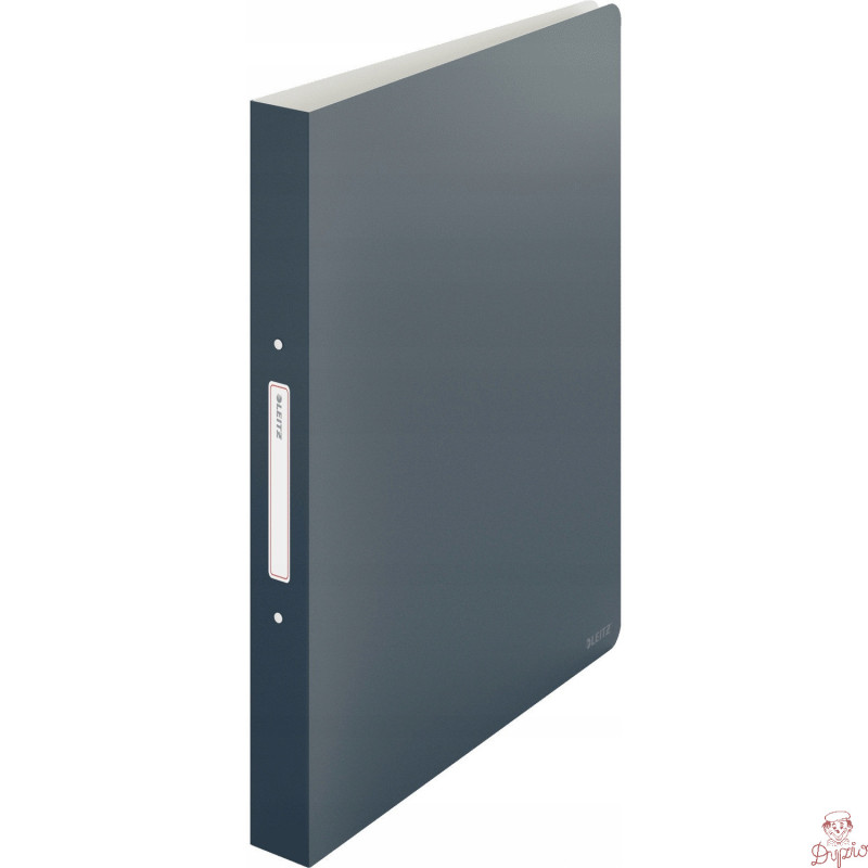 Segregator 2ringowy Leitz Cosy, szary 42380089