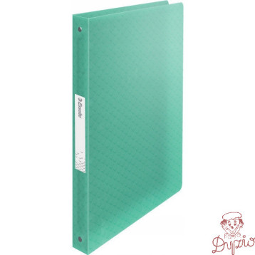 Segregator ringowy Esselte Colour`Breeze 4 RR 25 mm zielony 626248