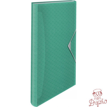 Teczka z przegródkami zielona ESSELTE COLOURICE 626253