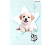 Teczka z gumką A4 DOGGY 559706 STARPAK