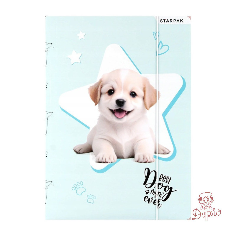 Teczka z gumką A4 DOGGY 559706 STARPAK
