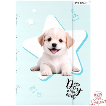 Teczka z gumką A4 DOGGY 559706 STARPAK