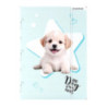 Teczka z gumką A4 DOGGY 559706 STARPAK
