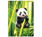 Teczka z gumką A4 WILD ANIMAL PANDA 559729 STARPAK