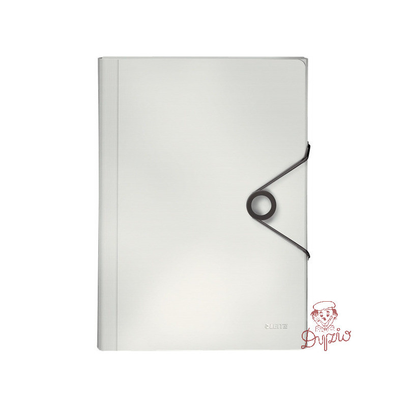 Teczka z przegródkami PP LEITZ SOLID biała 45791001