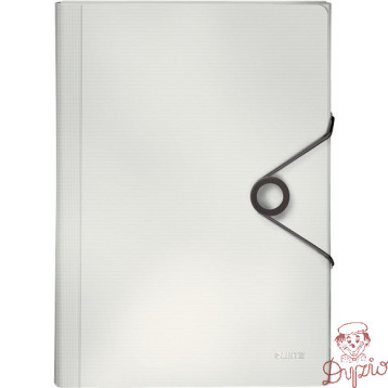 Teczka z przegródkami PP LEITZ SOLID biała 45791001