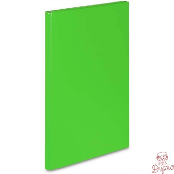 Teczka skrzydłowa z rzepem CARIBIC 2cm jasnozielona 343/15 VAUPE