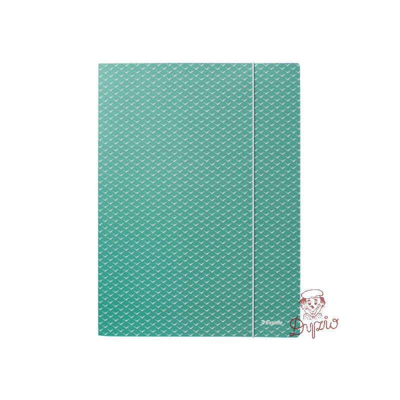 Teczka kartonowa z gumką Colour`Breeze A4 zielona 628493 ESSELTE