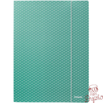 Teczka kartonowa z gumką Colour`Breeze A4 zielona 628493 ESSELTE