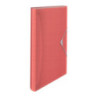 Teczka z przegródkami Esselte Colour`Breeze 6 przegródek koralowy 628447