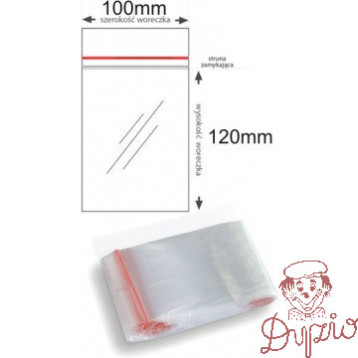 Torebki strunowe 100x120mm (100szt) (B3-SW-0065)