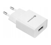 Ładowarka sieciowa 230V EVERACTIVE SC-200 1xUSB 2,4A biała 12W