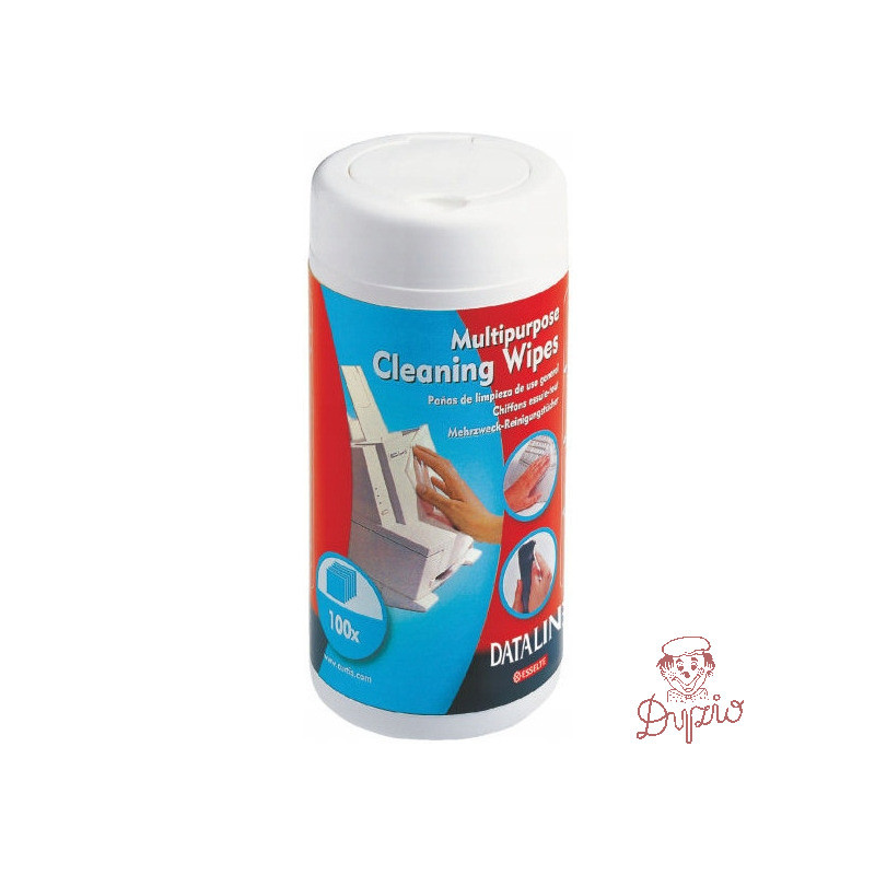 Chusteczki wilgotne do plastiku ESSELTE DATALINE (100szt) 67656