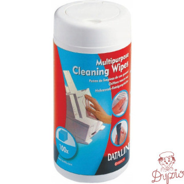 Chusteczki wilgotne do plastiku ESSELTE DATALINE (100szt) 67656
