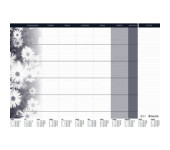 BIUWAR wkład miesięczny 470x330mm 0318-0007-99 PANTA PLAST
