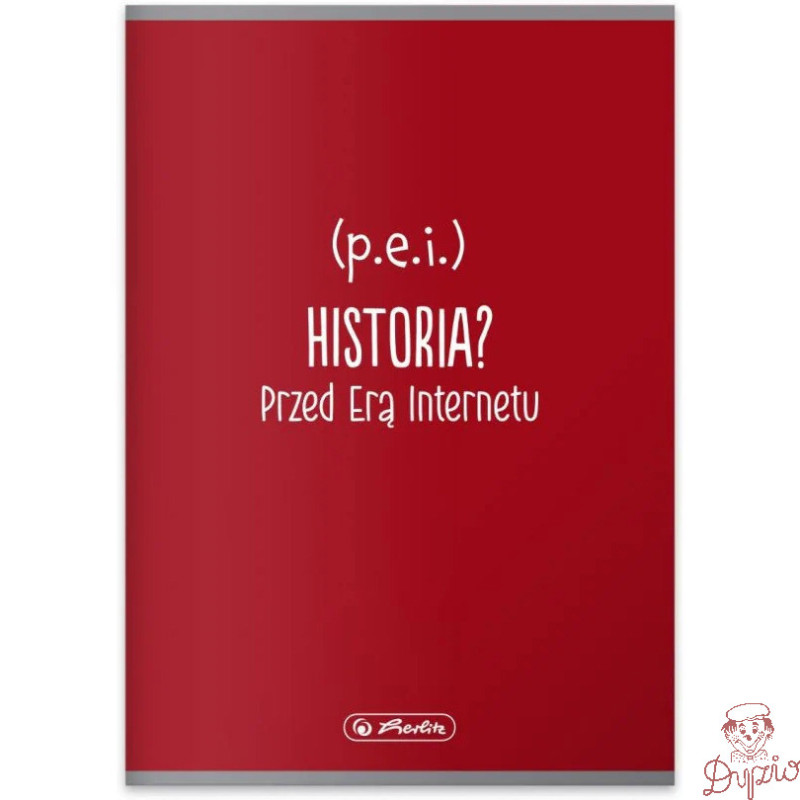 Zeszyt szkolny przedmiotowy A5 60 kartek w kratkę 70g HISTORIA 400197995 HERLITZ