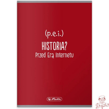 Zeszyt szkolny przedmiotowy A5 60 kartek w kratkę 70g HISTORIA 400197995 HERLITZ