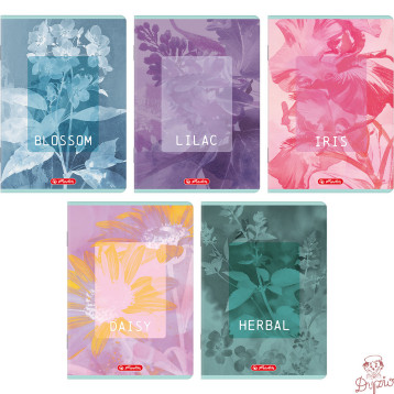 Zeszyt A5 60k kratka z marginesem BLOSSOM 400206384 HERLITZ