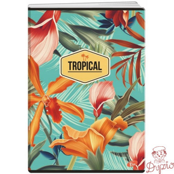 Zeszyt A5 80k linia okładka miękka TROPICAL EL-M10-080-LA5 ELISA