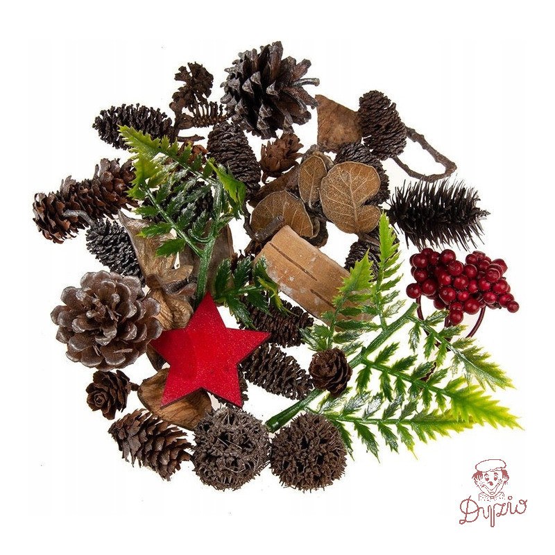 Zestaw świąteczny SGD-1026 mix 50g ALIGA