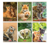 Zeszyt A5 32k 3linia ANIMALS 400197969 HERLITZ