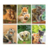 Zeszyt A5 32k 3linia ANIMALS 400197969 HERLITZ
