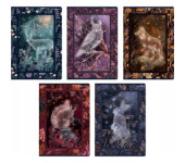 Zeszyt A5 60k linia margines FAIRYTALE 400182441 TOP 2000