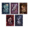 Zeszyt A5 60k linia margines FAIRYTALE 400182441 TOP 2000
