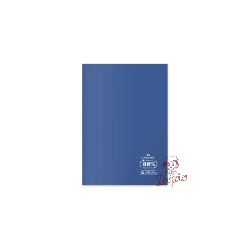 Zeszyt szkolny A4 60 kartek w kratkę 70g ECO PP Ocean Colors 400198130 HERLITZ