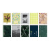 Zeszyt A5 80k linia margines MEGAMIX 400183668 TOP 2000