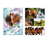 Teczka z gumką A4 STK SWEET HORSES 298952 STARPAK