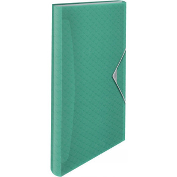 Teczka z przegródkami zielona ESSELTE COLOURICE 626253