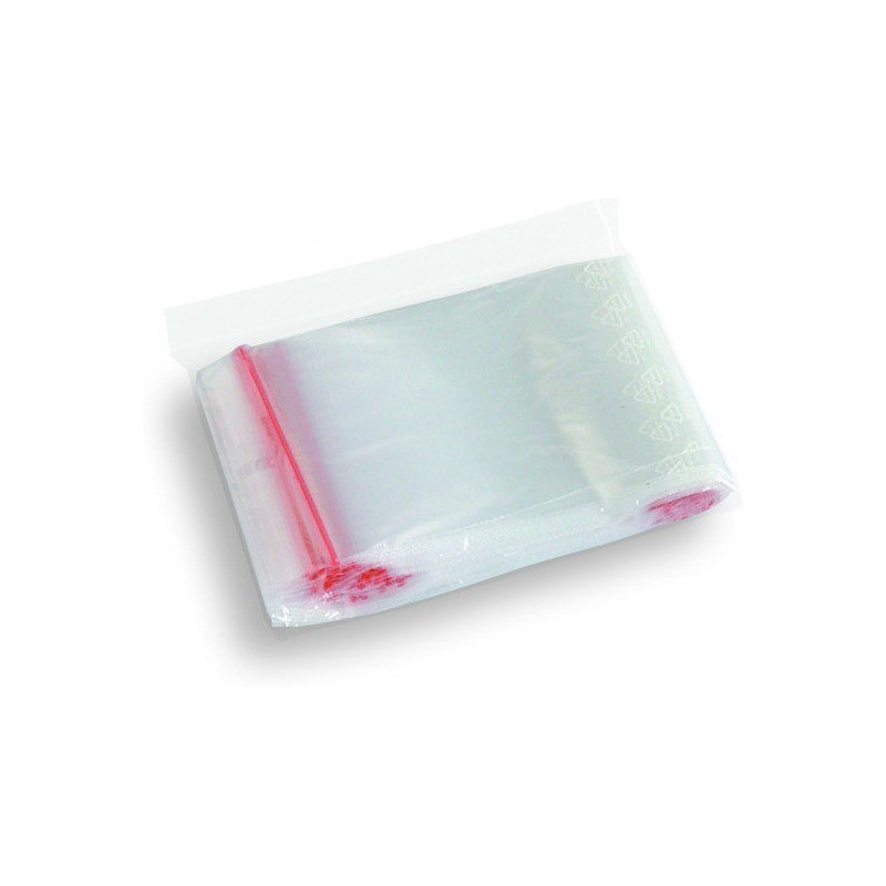 Torebki strunowe 310x430mm (100szt)