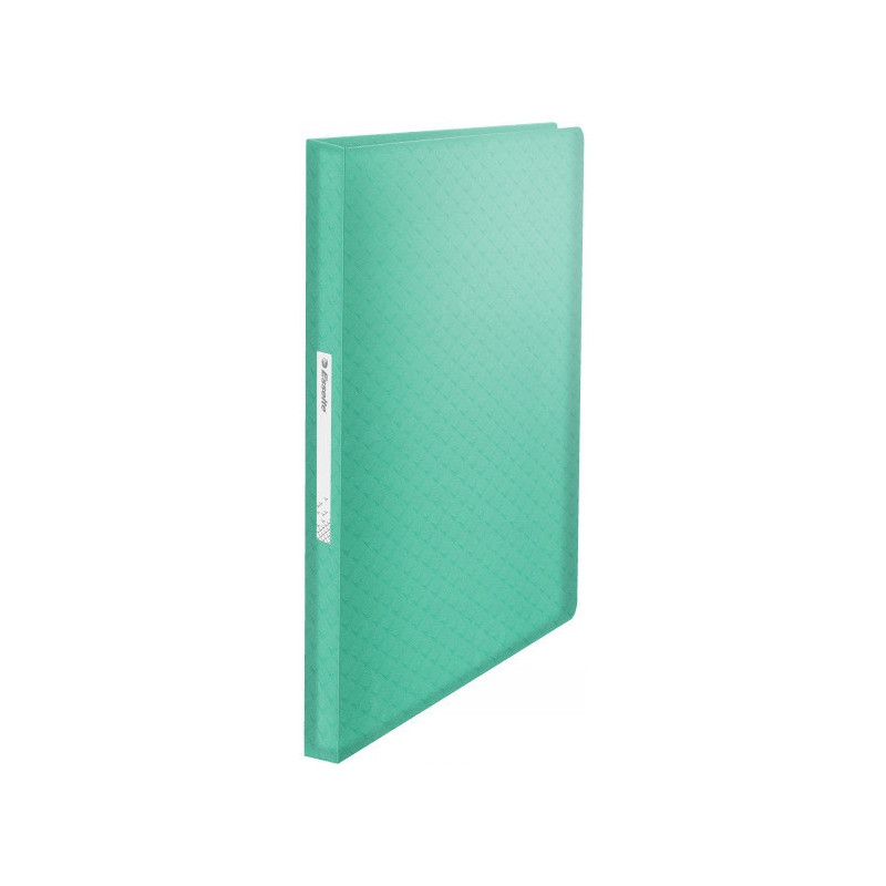Album ofertowy na dokumenty A4 80 kieszeni Colour`Breeze zielony 626238 ESSELTE