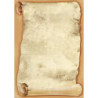 Dyplom A4 PAPIRUS 250g. (20ark.) 210525 Galeria Papieru