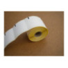 Etyk. term. 61/55-25 a'450 - karton 50 rolek