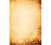 Dyplom A4 AMBER 170g (25ark) 215517 GALERIA PAPIERU