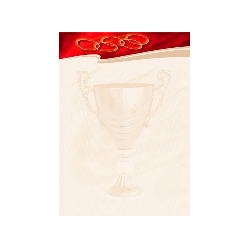 Dyplom A4 SPORT N 170g (25ark) 212317 Galeria Papieru