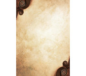 Dyplom A4 ADAGIO 170g (25ark) 216417 GALERIA PAPIERU
