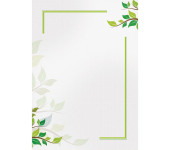 Dyplom A4 GREEN 170g (25ark) 218917 GALERIA PAPIERU